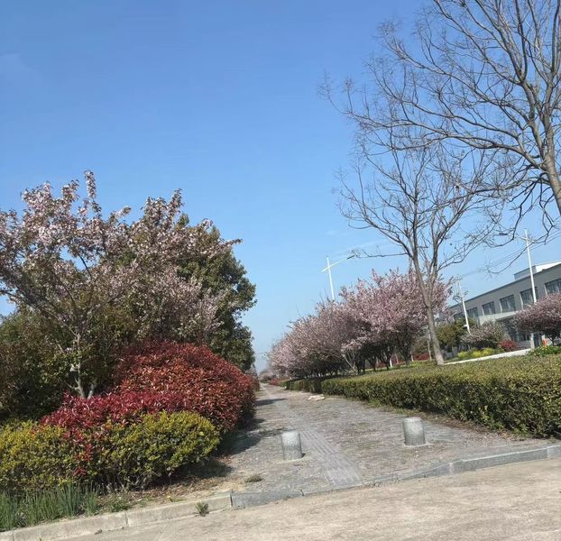 Zibo Huao New Materials Co., Ltd.